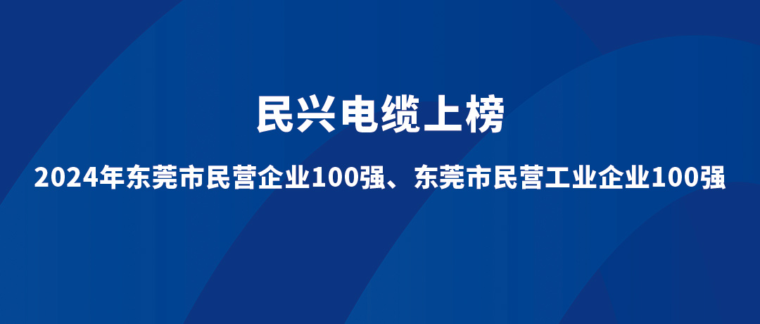 民兴位列第15位！2024年东莞市民营工业企业100强榜单发布